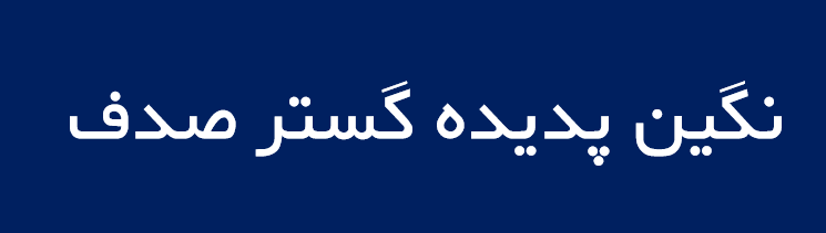 لوگوی نگين پديده گستر صدف