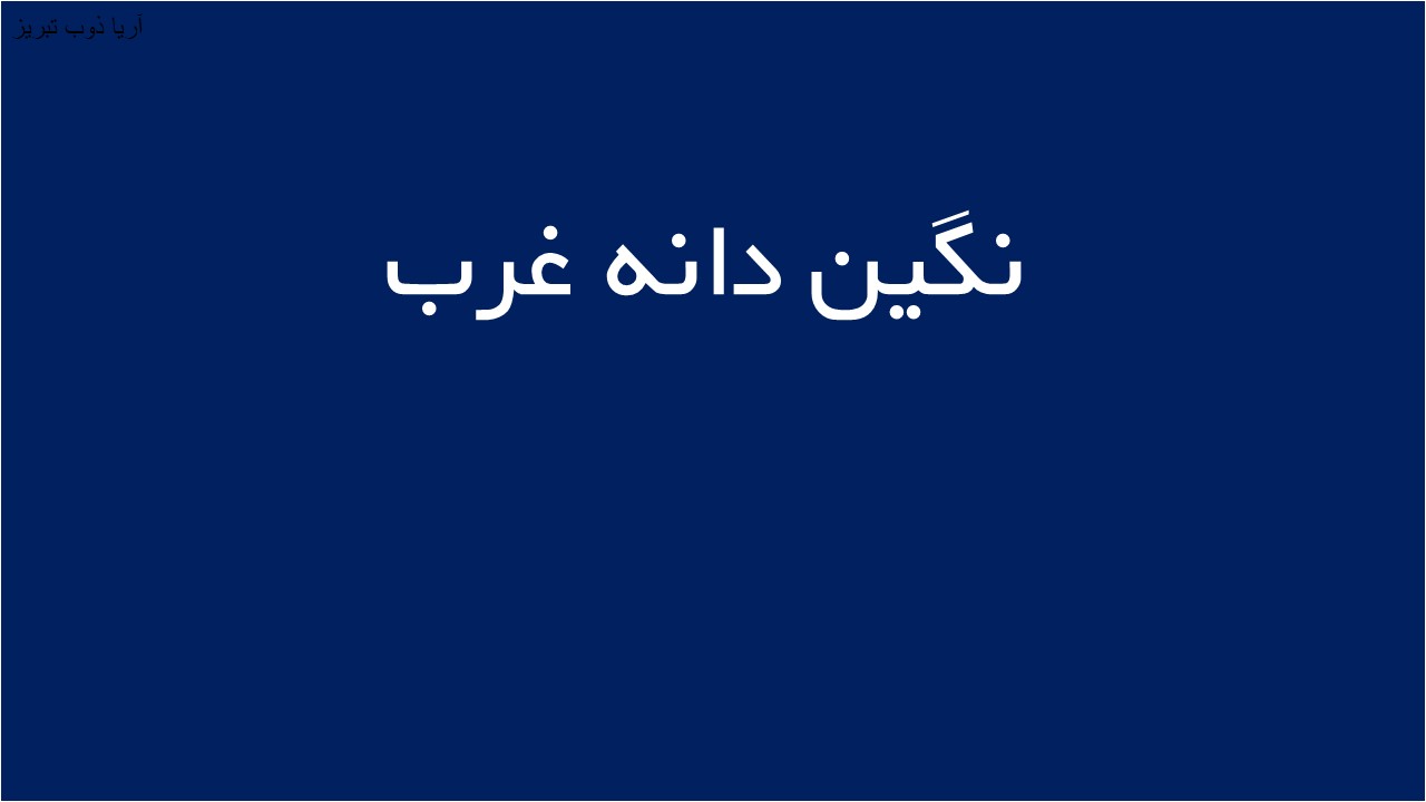 لوگوی نگين دانه غرب