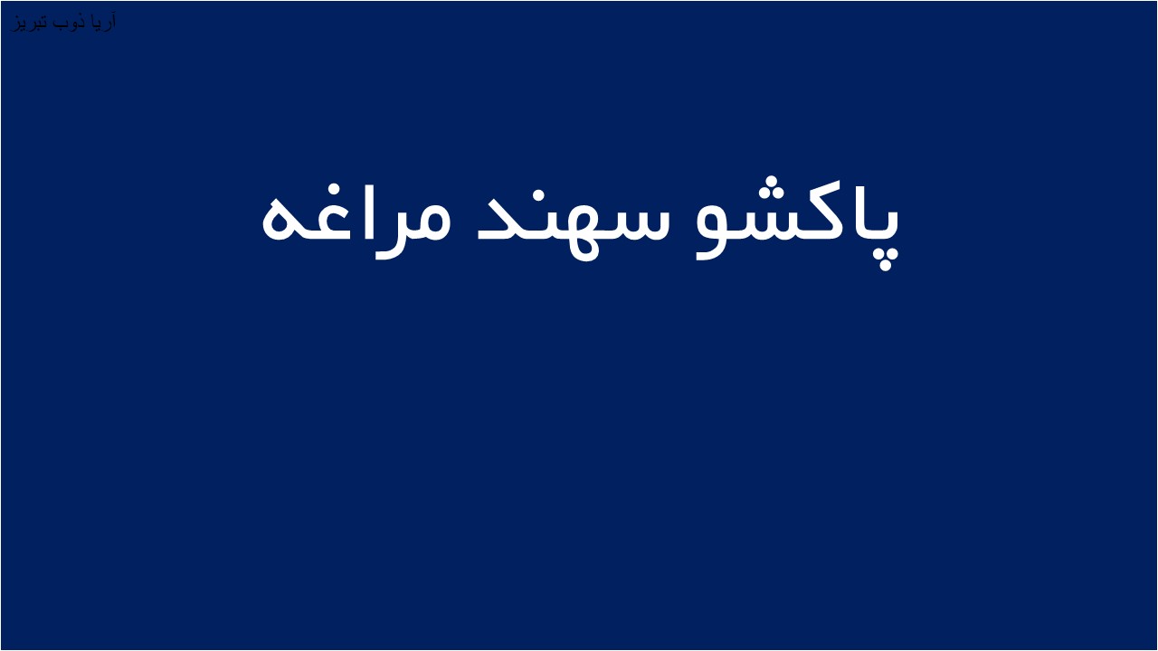 لوگوی پاكشو سهند مراغه
